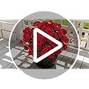Ammyoo Artificial Geranium Flowers for Outdoors Decoration, 6 Pcs Fake Silk Geraniums Flower UV Resistant Look Real Faux Plants for Spring Garden Porch Planter Yard Table Centerpieces Decor
