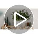 Yinder Xmas Norfolk Pine Branches with Pine Cones Norfolk Pine Artificial Xmas Branches for Xmas Indoor Outdoor Home Decor(16 Pcs)