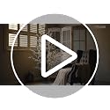 LITBLOOM Lighted Birch Twig Tree with Fairy Lights 4FT 200 LED Lights for Indoor Outdoor Home Christmas Holiday Decoration