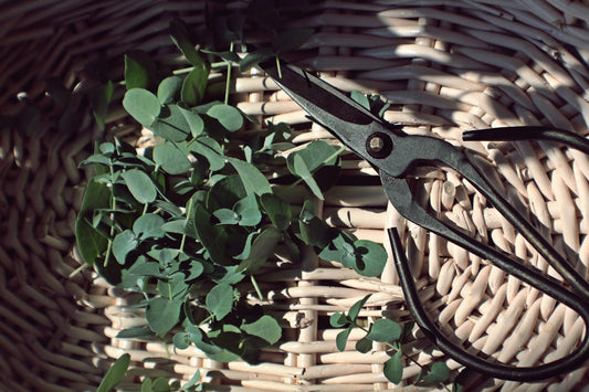 How to Fix an Empty Entryway with Greenery Stems for a Warm, Finished Look
