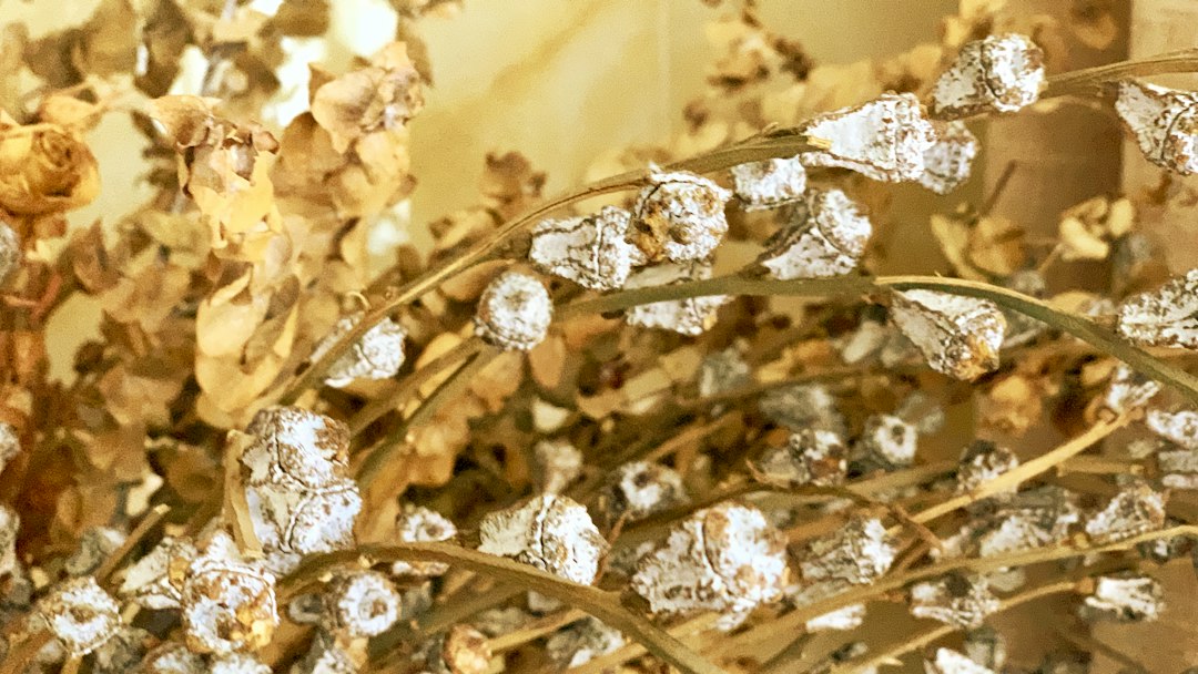 How to Choose a Diamante Wall Clock for a Glam Entryway