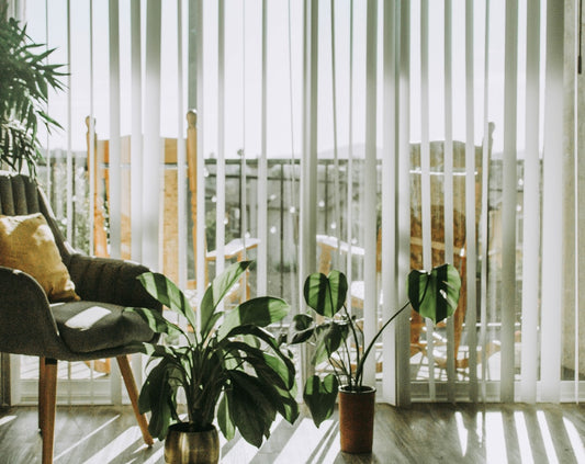Curtains vs. Shades: Best Window Treatments for a Rental Apartment