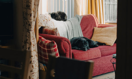 Universal Stretch Sofa Covers: What to Look for Before You Buy