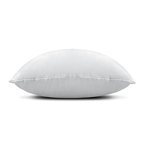 EDOW Throw Pillow Inserts, Set of 2 Lightweight Down Alternative Polyester Pillow, Couch Cushion, Sham Stuffer, Machine Washable. (Grey, 18x18)
