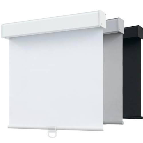 SHADEMOON Blackout Cordless Roller Shades for Windows,Free-Stop System Blind with Valance,Pull Down Room Darkening Indoor Shades,Thermal Insulated UV Blocking Fabric,Home Office(White,12" W x 72" H)