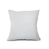 EDOW Throw Pillow Insert, Lightweight Soft Polyester Down Alternative Decorative Pillow, Sham Stuffer, Machine Washable. (Grey, 16x16)