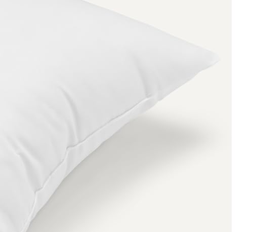 Amazon Basics Square Hypoallergenic Down Alternative Pillow Insert, Machine Washable, Softness and Support, 20 inch, 2-Pack