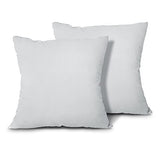 EDOW Throw Pillow Inserts, Set of 2 Lightweight Down Alternative Polyester Pillow, Couch Cushion, Sham Stuffer, Machine Washable. (Grey, 18x18)