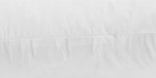 JA COMFORTS 12×20 Premium Goose Down Feather Throw Pillow Inserts(Set of 2)-5% Down Filling,High Filling Weight,250 TC Cotton Cover, Square, White