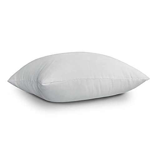 EDOW Throw Pillow Inserts, Set of 2 Lightweight Down Alternative Polyester Pillow, Couch Cushion, Sham Stuffer, Machine Washable. (Grey, 18x18)