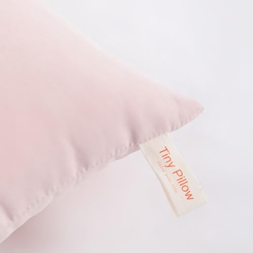NTBAY Tiny Pillows, Down Alternative 7"x11" Microfiber Mini Pillow for Travel, Pets, Soft Machine Washable Small Pillows for Neck, Wrist, Lumbar and Knee, Pink