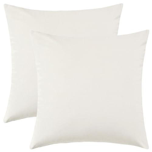 Set of 2 Comfortable Throw Pillow Cover for Bedding, Decorative Accent Cushion Sham Case for Couch Sofa, Soft Solid Velvet with Zipper Hidden - 20"x20", Ivory