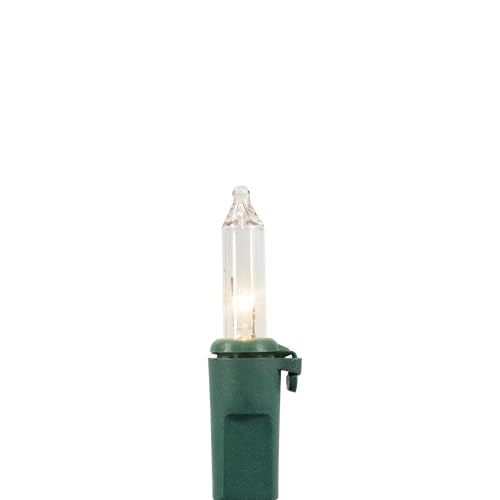 Northlight Mini Christmas Light Set -Clear - 4' Green Wire - 20ct