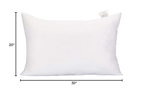 Acanva Fluffy Pillow Insert for Bed Sleeping, Decorative Stuffer Cushion Sham Filler, Queen 20x30 (Pack of 1), White