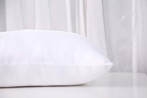 Acanva Fluffy Pillow Insert for Bed Sleeping, Decorative Stuffer Cushion Sham Filler, Queen 20x30 (Pack of 1), White