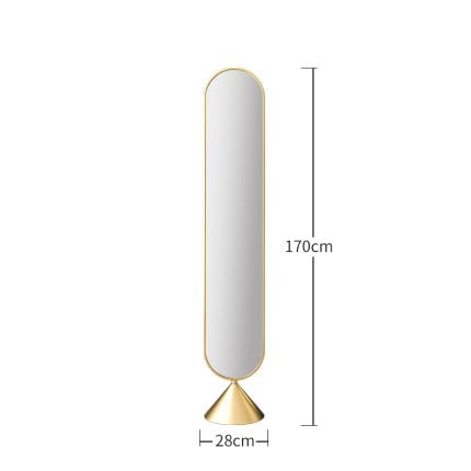 Decorative Mirror Full-Length Floor-to-Ceiling Bedroom Home Living Room Vertical Small Apartment Fitting Dressing for Living Room(Gold,170cm)