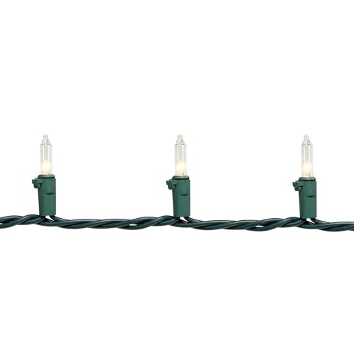 Northlight Mini Christmas Light Set -Clear - 4' Green Wire - 20ct