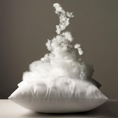 MIULEE 12x20 Pillow Inserts,Down Alternative Pack of 2 Decorative Throw Pillows for Sofa Couch Bed, Ultra Soft Fluffy Bed Sleeping Form