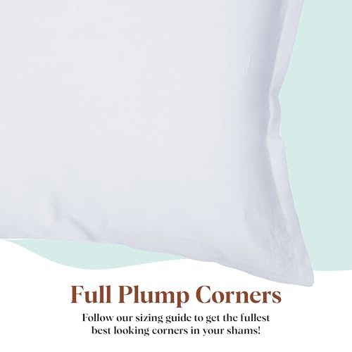 Pillowflex Premium Polyester Throw Pillow Insert - 20x36 - Ultra Soft Large Rectangle Throw Pillow, Couch Sham, Lumbar, Back, Sofa - Machine Washable - Decorative Accent Form - 1 Soft Pillow