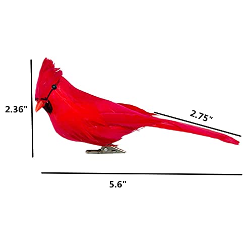 12 PCS Red Cardinals Ornaments Birds Christmas Cardinal Birds Clip for Christmas Tree Ornament Decorations, Arts and Crafts, Clip-On Style