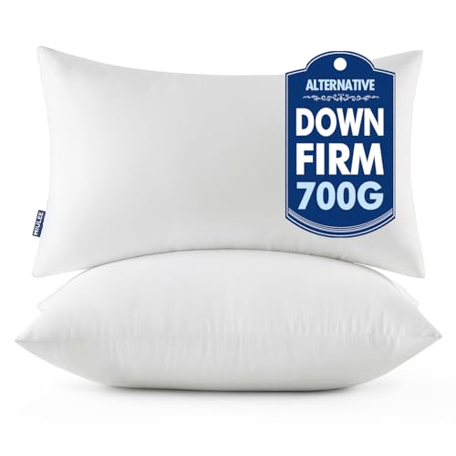 MIULEE 20x26 Throw Pillows Inserts 2 Pack, Decorative Pillows for Couch Bed