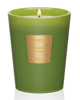 M&SENSE Rosemary Eucalyptus Soy Candle, 14.1oz, Summer Refresh Scent