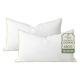 Ashler 12x20 Pillow Inserts, Set of 2, Synthetic Down Lumbar Pillow Inserts