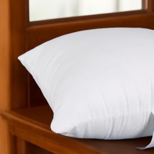 Set of 2, 18 x 18 Inches Throw Pillow Inserts, Square Decorative Couch Sofa Pillow Inserts