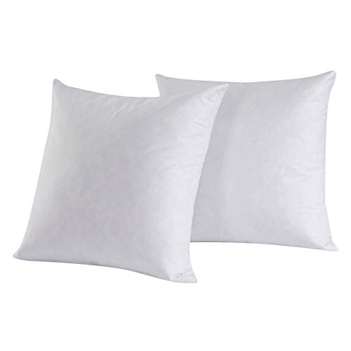 Set of 2, 95% Feather 5% Down Square Decorative Throw Pillow Insert, Cotton Cover, 16x16 Inch