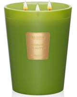 M&SENSE Rosemary Eucalyptus Soy Candle, 35oz 3-Wick, Summer Spa Meditation
