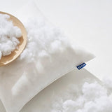 MIULEE Pillow Insert 20x20 Inch Set of 2 Decorative Throw Pillow Inserts
