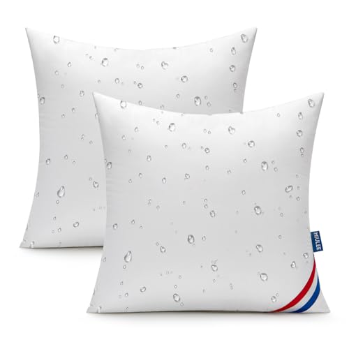 MIULEE Outdoor Pillows Pack of 2 18x18 Inch Outdoor Pillow Inserts Waterproof Decorative Throw Pillow Inserts, Square Water Resistant Pillow for Garden Couch Furniture