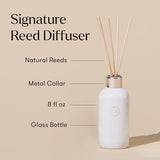 Capri Blue Volcano Reed Diffuser Set, Includes Reeds, Fragrance Oil, and Glass Bottle for Home Décor, Room Fresheners, White (8 Fl Oz)