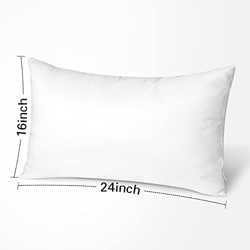 OTOSTAR 16x24Inch Throw Pillow Inserts, Set of 1 Rectangle Form Cushion Stuffers for Couch, Sofa, Bed - Indoor Decorative Pillows Inserts