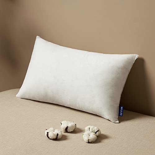 MIULEE Throw Pillow Insert with Decorative Throw Pillow Cover