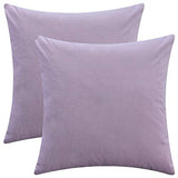 Set of 2 Soft Velvet Throw Pillow Covers, Decorative Solid Cushion Cases for Sofa Couch and Bed - 16"x16", Lavender