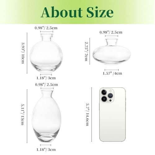 Glass Bud Vases Set of 3, Hewory Cute Clear Small Vases Handmade, Mini Glass Flower Vase for Floral Arrangement, Tiny Centerpiece for Wedding Party Events Home Office Table Decor (Not Include Flower)