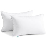 Oubonun 20"x30" Decorative Bed Pillow 2 Pack,100% Cotton Cover Living Room