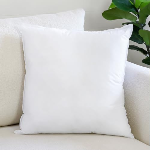 OTOSTAR Pillow Insert 20x20 Inch, Decorative Square Throw Pillow Inserts, Premium Fluffy Pillow Forms Sham Stuffer for Sofa Bed Couch Living Room- Indoor