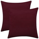 Set of 2 Comfortable Velvet Throw Pillow Cases, Decorative Solid Cushion Covers for Sofa Couch and Bed - 20"x20", Burgundy