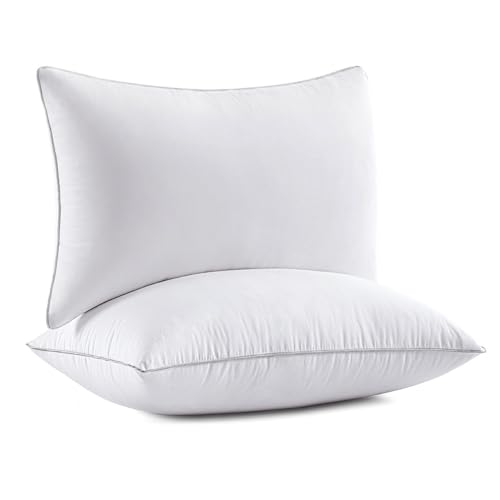 MIULEE 20x26 Pillow Inserts (Set of 2) -Decorative Throw Pillow with Textured Woven Fabric Cover Rectangle for Sofa Couch