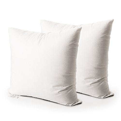 EDOW Throw Pillow Insert, Set of 2 Down Alternative Polyester Square Form Decorative Pillow, Cushion,Sham Stuffer. (White, 18x18)