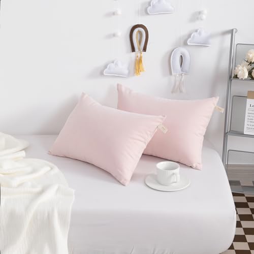 NTBAY Tiny Pillows, Down Alternative 7"x11" Microfiber Mini Pillow for Travel, Pets, Soft Machine Washable Small Pillows for Neck, Wrist, Lumbar and Knee, Pink