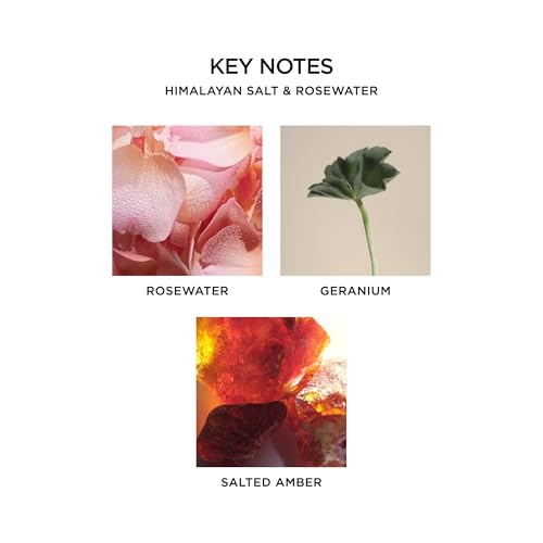 NEST New York Reed Diffuser Liquid Refill, Himalayan Salt & Rosewater - 5.9 fl oz - Fragrance for Up to 90 Days - Flame Free