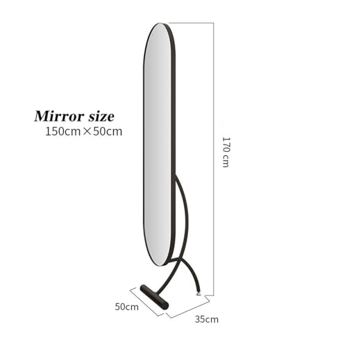 Decorative Full-Length Dressing Mirror, Household Floor-Standing, Bedroom Fitting for Living Room(Black)