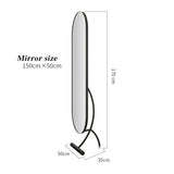 Decorative Full-Length Dressing Mirror, Household Floor-Standing, Bedroom Fitting for Living Room(Gold)