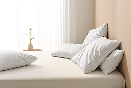 basic home 20x20 Pillow Inserts-Shredded Memory Foam Fill-High Density Throw Pillow Inserts with Long Support-Home Couch Hotel Collection-Cotton Fabric-2 Pack