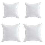Oubonun 20 x 20 Throw Pillow Inserts (Set of 2) & 22 x 22 Pillow Inserts (Set of 2)