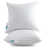 Oubonun 20 x 20 Throw Pillow Inserts (Set of 2) with 100% Cotton Cover - 20 Inch Square Interior Decorative Sofa Pillow Insert Pair - White Couch Pillow