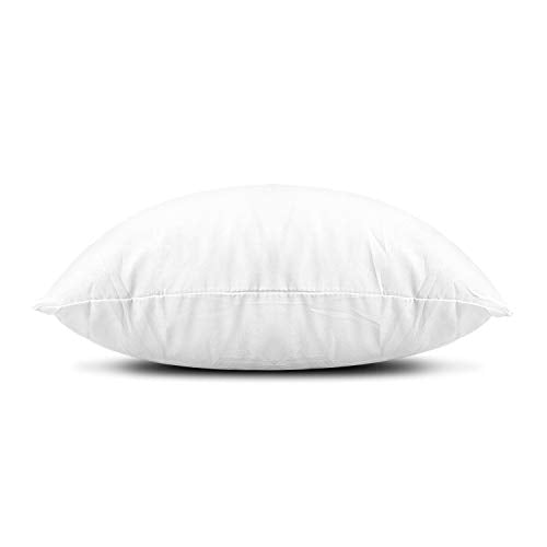 EDOW Throw Pillow Inserts, Set of 2 Lightweight Down Alternative Polyester Pillow, Couch Cushion, Sham Stuffer, Machine Washable. (White, 12x12)